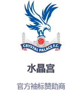 水晶宫独家官方袖标赞助商